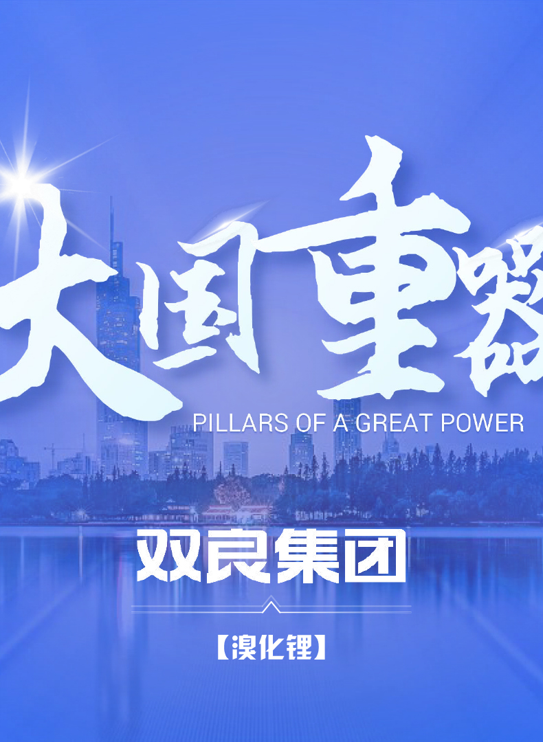 【大國重器】溴化鋰業(yè)績(jī)版本